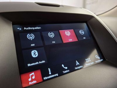 Ford Edge Gebrauchtwagen