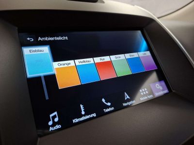 Ford Edge Gebrauchtwagen