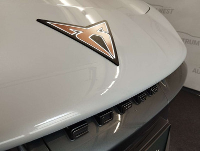 Cupra Tavascan Gebrauchtwagen Cupra Tavascan Gebrauchtwagen