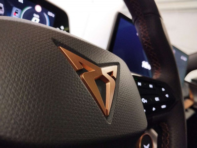 Cupra Tavascan Gebrauchtwagen Cupra Tavascan Gebrauchtwagen