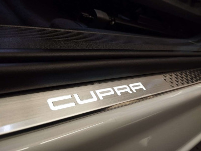 Cupra Tavascan Gebrauchtwagen Cupra Tavascan Gebrauchtwagen