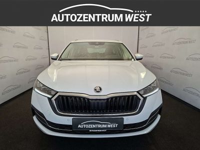 Skoda Octavia Gebrauchtwagen Skoda Octavia Gebrauchtwagen