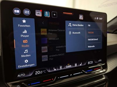 Cupra Formentor Gebrauchtwagen Cupra Formentor Gebrauchtwagen