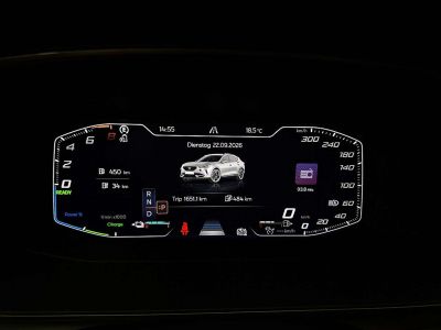 Cupra Formentor Gebrauchtwagen Cupra Formentor Gebrauchtwagen