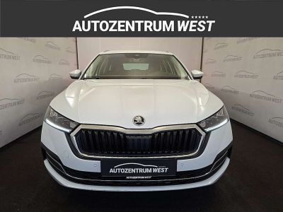 Skoda Octavia Gebrauchtwagen Skoda Octavia Gebrauchtwagen