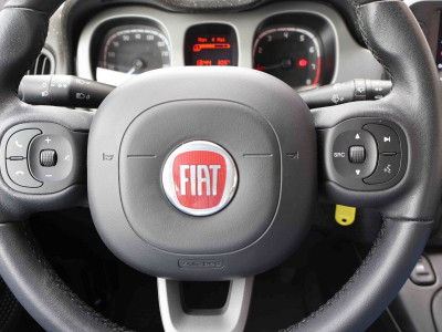 Fiat Panda Gebrauchtwagen