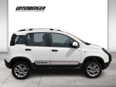 Fiat Panda Gebrauchtwagen