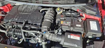 KIA Stonic Gebrauchtwagen