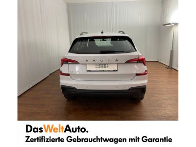 Skoda Kamiq Gebrauchtwagen