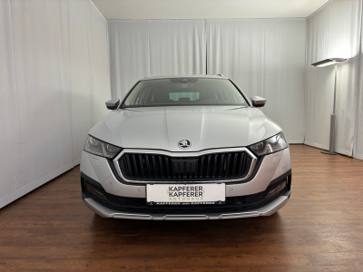Skoda Octavia Gebrauchtwagen