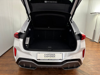 Cupra Terramar Gebrauchtwagen Cupra Terramar Gebrauchtwagen