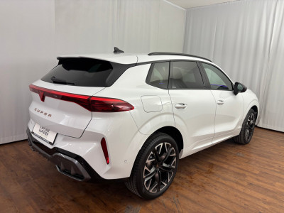 Cupra Terramar Gebrauchtwagen Cupra Terramar Gebrauchtwagen