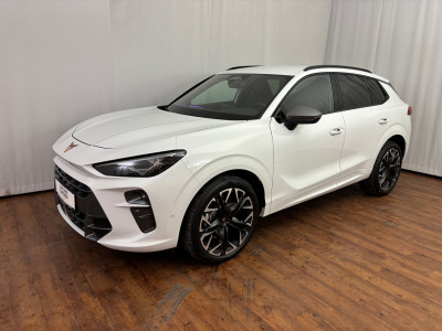 Cupra Terramar Gebrauchtwagen Cupra Terramar Gebrauchtwagen