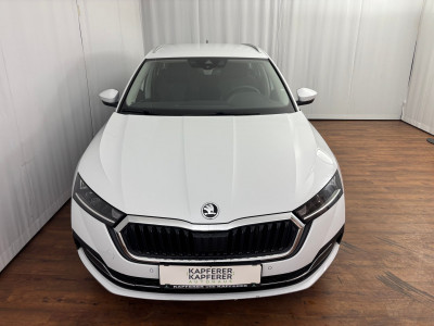 Skoda Octavia Gebrauchtwagen