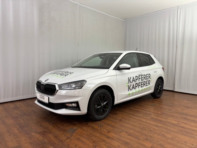 Skoda Fabia Gebrauchtwagen Skoda Fabia Gebrauchtwagen