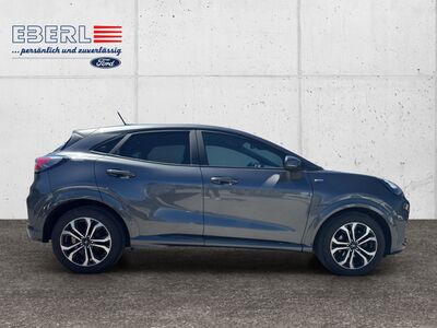 Ford Puma Gebrauchtwagen Ford Puma Gebrauchtwagen