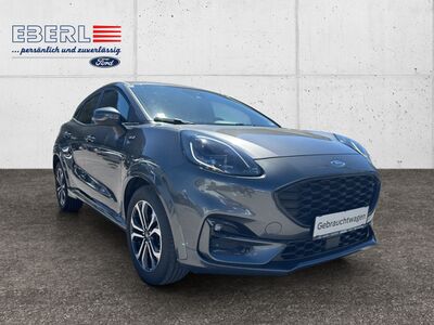 Ford Puma Gebrauchtwagen Ford Puma Gebrauchtwagen