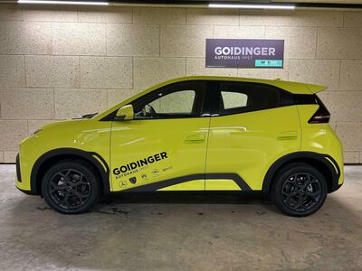 BYD Dolphin Surf Vorführwagen BYD Dolphin Surf Vorführwagen