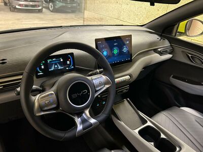 BYD Dolphin Surf Vorführwagen BYD Dolphin Surf Vorführwagen