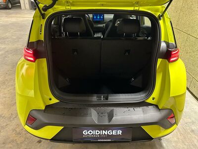 BYD Dolphin Surf Vorführwagen BYD Dolphin Surf Vorführwagen