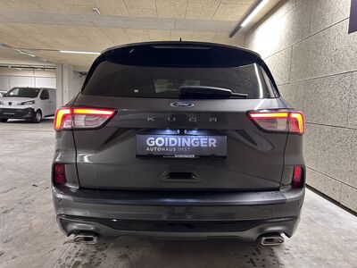 Ford Kuga Gebrauchtwagen Ford Kuga Gebrauchtwagen