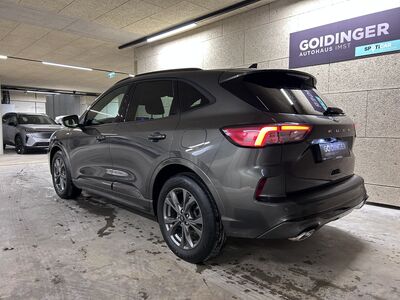 Ford Kuga Gebrauchtwagen Ford Kuga Gebrauchtwagen