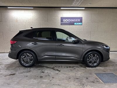Ford Kuga Gebrauchtwagen Ford Kuga Gebrauchtwagen