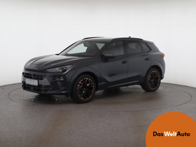 Cupra Terramar Gebrauchtwagen