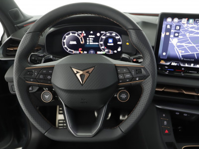 Cupra Terramar Gebrauchtwagen