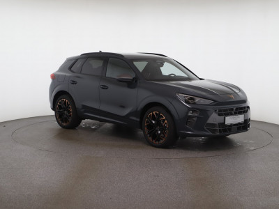 Cupra Terramar Gebrauchtwagen