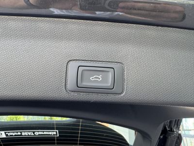 Cupra Terramar Gebrauchtwagen