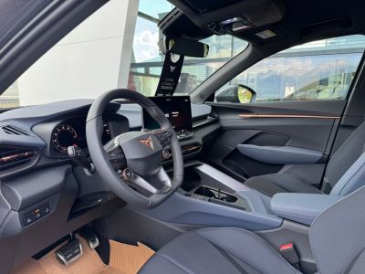 Cupra Terramar Gebrauchtwagen