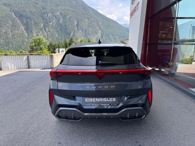 Cupra Terramar Gebrauchtwagen