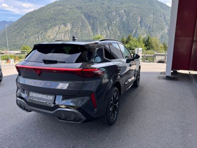 Cupra Terramar Gebrauchtwagen