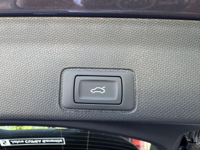 Cupra Terramar Gebrauchtwagen