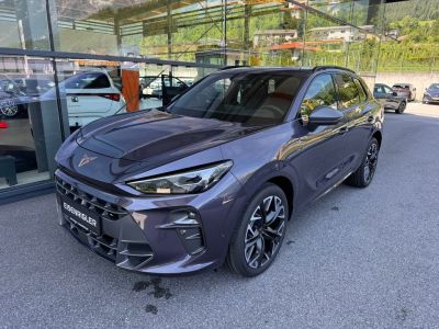 Cupra Terramar Gebrauchtwagen