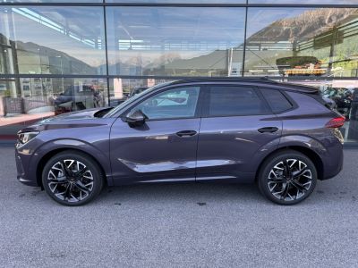 Cupra Terramar Gebrauchtwagen