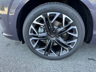 Cupra Terramar Gebrauchtwagen