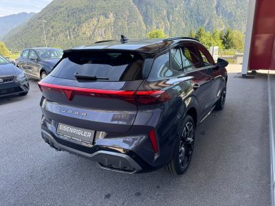 Cupra Terramar Gebrauchtwagen
