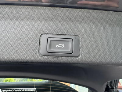 Cupra Terramar Gebrauchtwagen