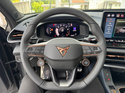 Cupra Terramar Gebrauchtwagen