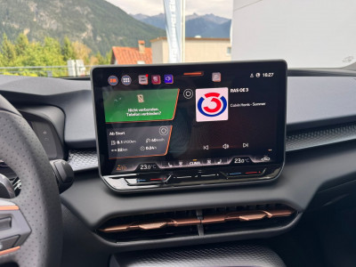 Cupra Terramar Gebrauchtwagen