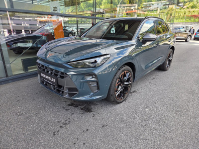 Cupra Terramar Gebrauchtwagen