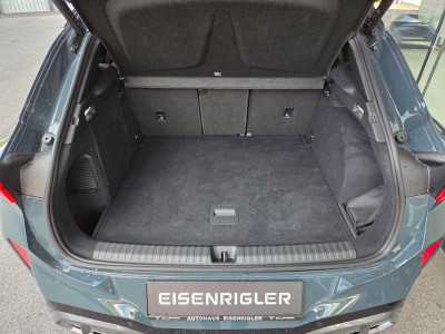 Cupra Terramar Gebrauchtwagen Cupra Terramar Gebrauchtwagen