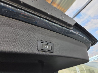 Cupra Terramar Gebrauchtwagen Cupra Terramar Gebrauchtwagen