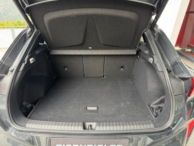 Cupra Terramar Gebrauchtwagen Cupra Terramar Gebrauchtwagen