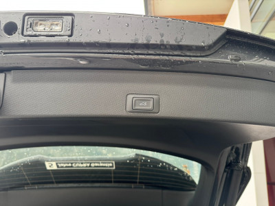 Cupra Terramar Gebrauchtwagen Cupra Terramar Gebrauchtwagen