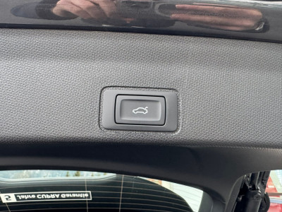 Cupra Terramar Gebrauchtwagen