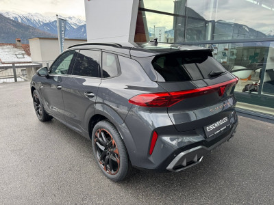Cupra Terramar Gebrauchtwagen