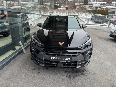 Cupra Terramar Gebrauchtwagen